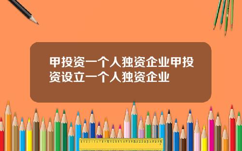 甲投资一个人独资企业甲投资设立一个人独资企业