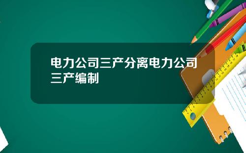 电力公司三产分离电力公司三产编制