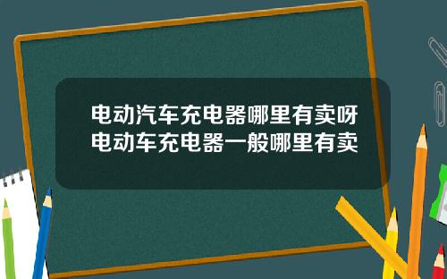 电动汽车充电器哪里有卖呀电动车充电器一般哪里有卖