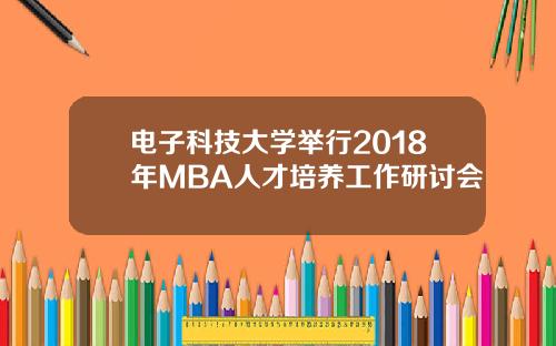 电子科技大学举行2018年MBA人才培养工作研讨会