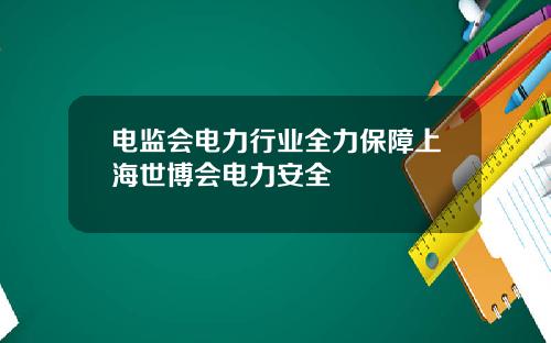 电监会电力行业全力保障上海世博会电力安全