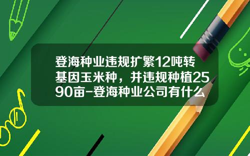 登海种业违规扩繁12吨转基因玉米种，并违规种植2590亩-登海种业公司有什么问题