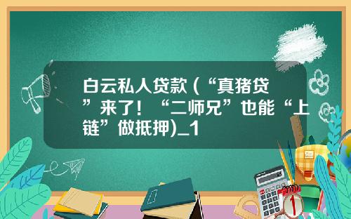白云私人贷款 (“真猪贷”来了！“二师兄”也能“上链”做抵押)_1