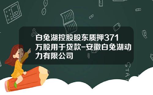 白兔湖控股股东质押371万股用于贷款-安徽白兔湖动力有限公司