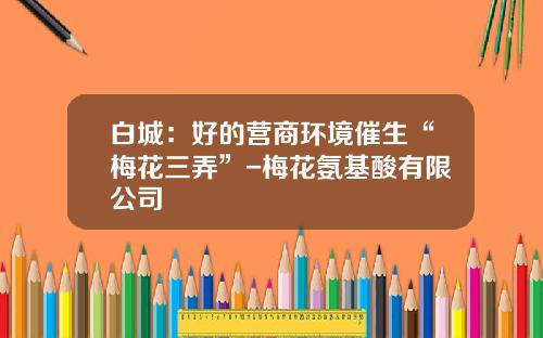白城：好的营商环境催生“梅花三弄”-梅花氨基酸有限公司