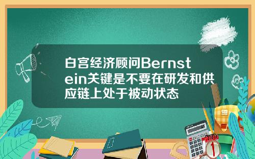 白宫经济顾问Bernstein关键是不要在研发和供应链上处于被动状态