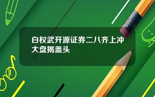 白权武开源证券二八齐上冲大盘揭盖头