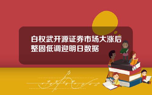 白权武开源证券市场大涨后整固低调迎明日数据