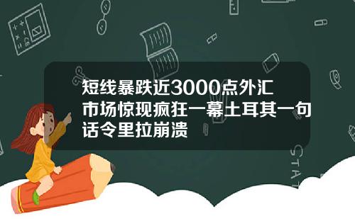 短线暴跌近3000点外汇市场惊现疯狂一幕土耳其一句话令里拉崩溃