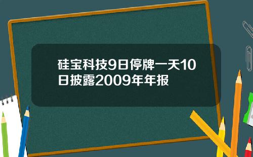 硅宝科技9日停牌一天10日披露2009年年报