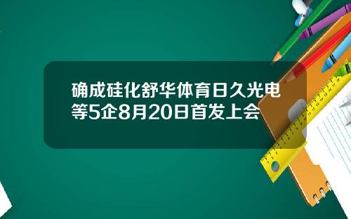 确成硅化舒华体育日久光电等5企8月20日首发上会