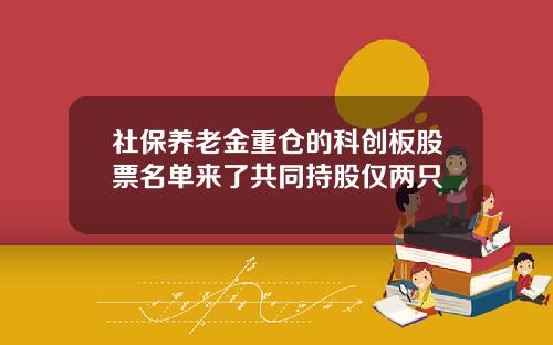 社保养老金重仓的科创板股票名单来了共同持股仅两只