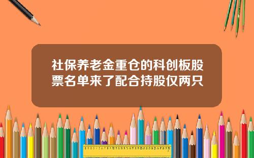 社保养老金重仓的科创板股票名单来了配合持股仅两只