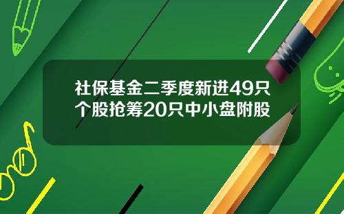 社保基金二季度新进49只个股抢筹20只中小盘附股