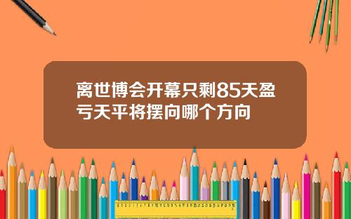 离世博会开幕只剩85天盈亏天平将摆向哪个方向