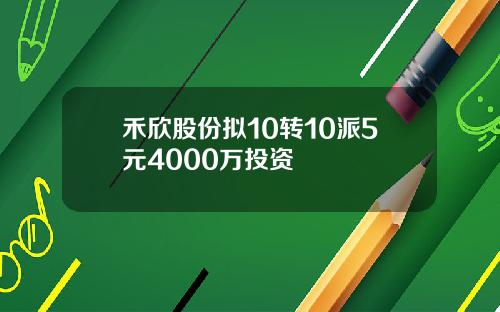 禾欣股份拟10转10派5元4000万投资