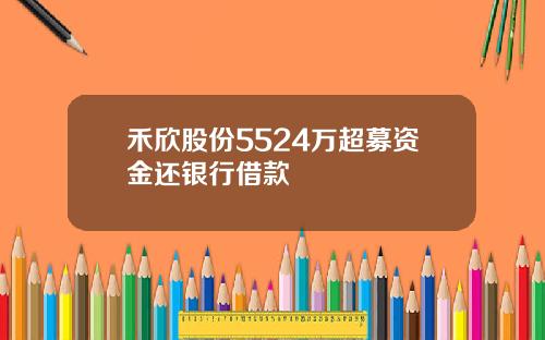 禾欣股份5524万超募资金还银行借款
