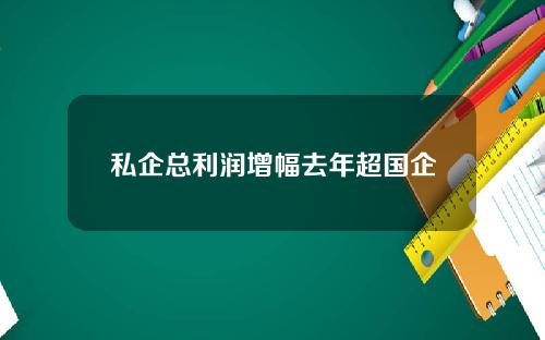 私企总利润增幅去年超国企