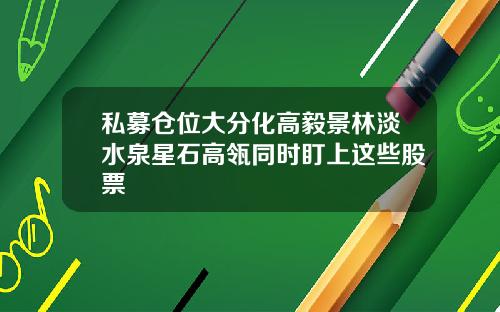私募仓位大分化高毅景林淡水泉星石高瓴同时盯上这些股票