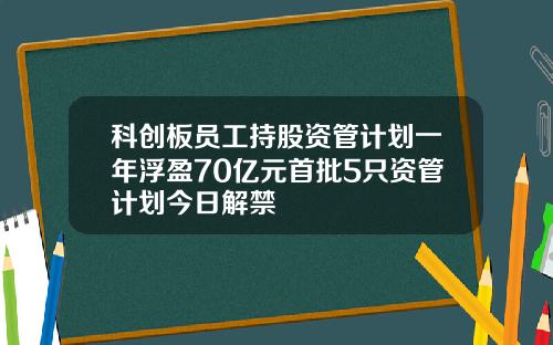 科创板员工持股资管计划一年浮盈70亿元首批5只资管计划今日解禁