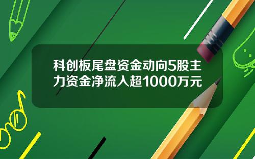 科创板尾盘资金动向5股主力资金净流入超1000万元