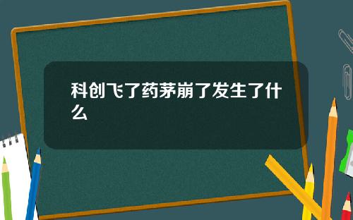 科创飞了药茅崩了发生了什么