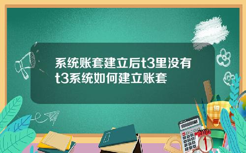 系统账套建立后t3里没有t3系统如何建立账套