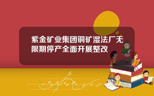 紫金矿业集团铜矿湿法厂无限期停产全面开展整改