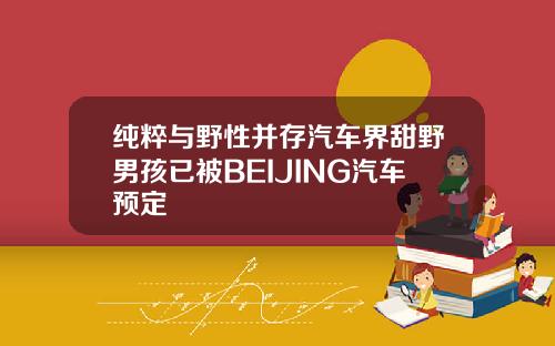 纯粹与野性并存汽车界甜野男孩已被BEIJING汽车预定