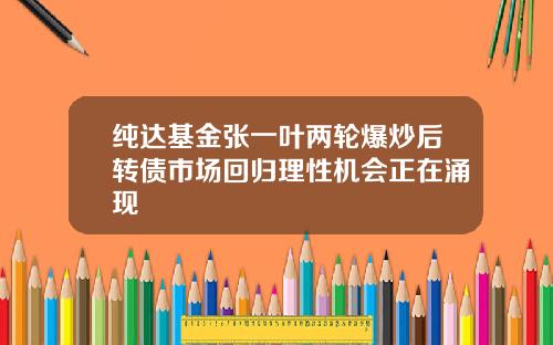 纯达基金张一叶两轮爆炒后转债市场回归理性机会正在涌现