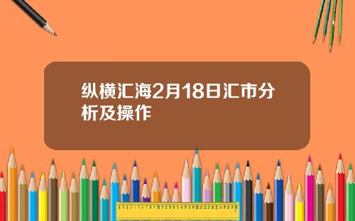 纵横汇海2月18日汇市分析及操作