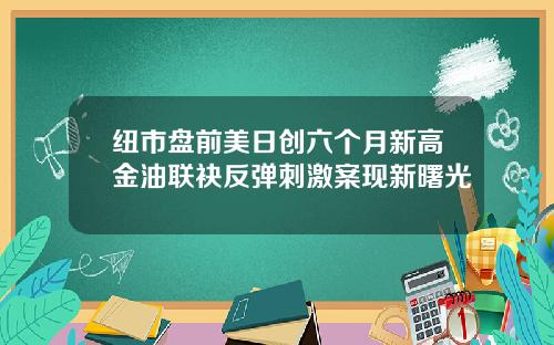 纽市盘前美日创六个月新高金油联袂反弹刺激案现新曙光