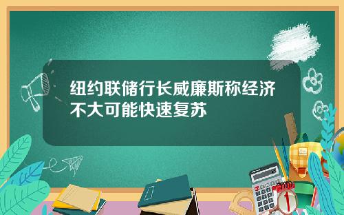 纽约联储行长威廉斯称经济不大可能快速复苏