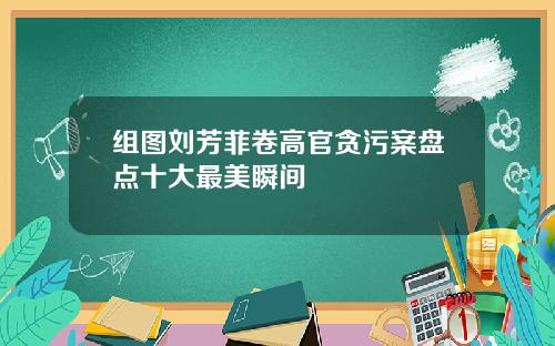 组图刘芳菲卷高官贪污案盘点十大最美瞬间