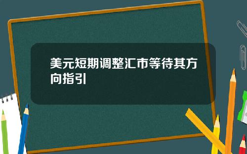 美元短期调整汇市等待其方向指引
