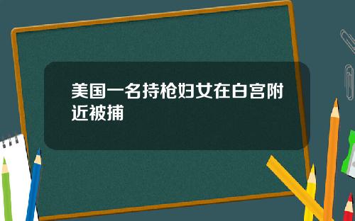 美国一名持枪妇女在白宫附近被捕