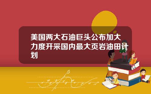 美国两大石油巨头公布加大力度开采国内最大页岩油田计划