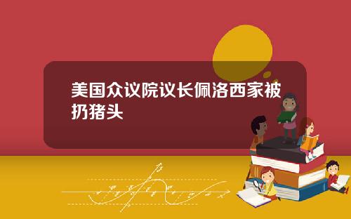 美国众议院议长佩洛西家被扔猪头