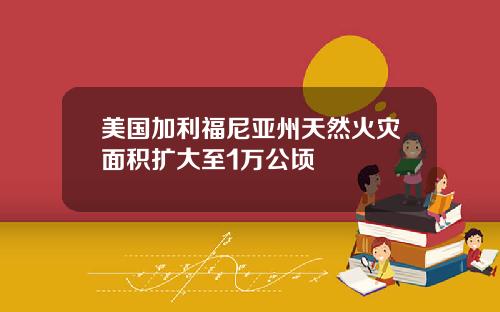 美国加利福尼亚州天然火灾面积扩大至1万公顷