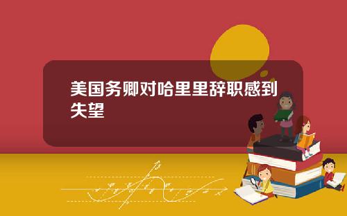 美国务卿对哈里里辞职感到失望