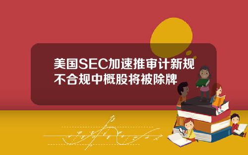 美国SEC加速推审计新规不合规中概股将被除牌