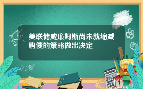 美联储威廉姆斯尚未就缩减购债的策略做出决定