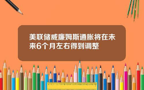 美联储威廉姆斯通胀将在未来6个月左右得到调整