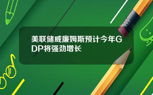 美联储威廉姆斯预计今年GDP将强劲增长