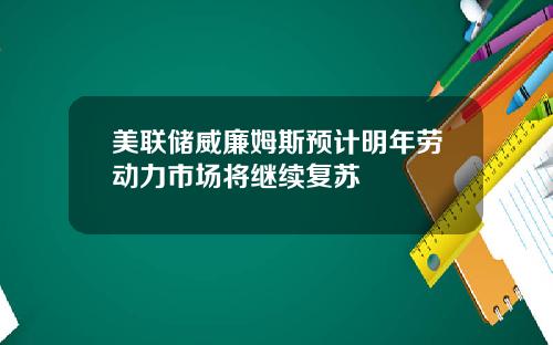 美联储威廉姆斯预计明年劳动力市场将继续复苏
