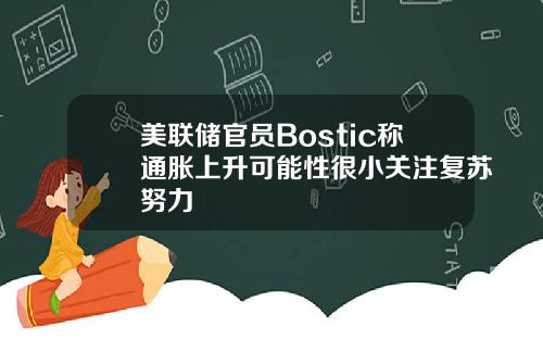 美联储官员Bostic称通胀上升可能性很小关注复苏努力