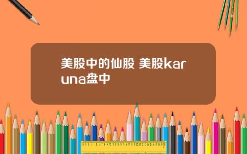 美股中的仙股 美股karuna盘中