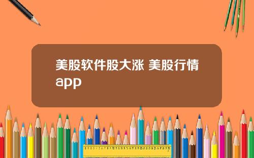 美股软件股大涨 美股行情app