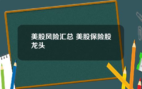 美股风险汇总 美股保险股龙头