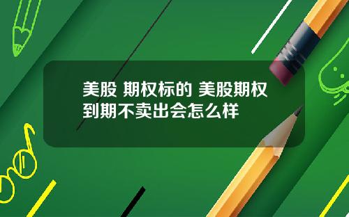 美股 期权标的 美股期权到期不卖出会怎么样